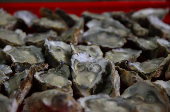 乳山：打通牡蛎产业“任督二脉” 海洋牧场未来“唱主角”