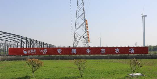 大润发签署徐鸿飞专属农场小鲜蛋农场新鲜直供