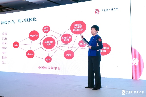 规模化取得阶段性成果 2018中国好公益平台年会在京举办