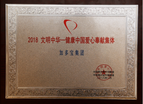 2018文明中华健康中国新年公益盛典在京举行
